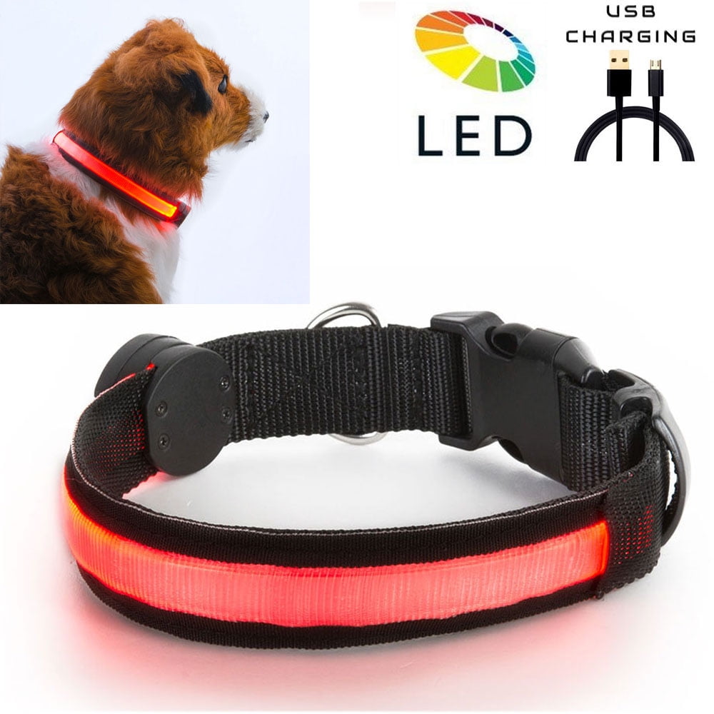 light up dog leash walmart