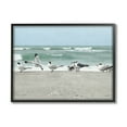 thumbnail image 2 of Stupell Industries Birds Gathering On Shore Rolling Ocean Waves Coastal Painting Gray Framed Art Print Wall Art, 2 of 5