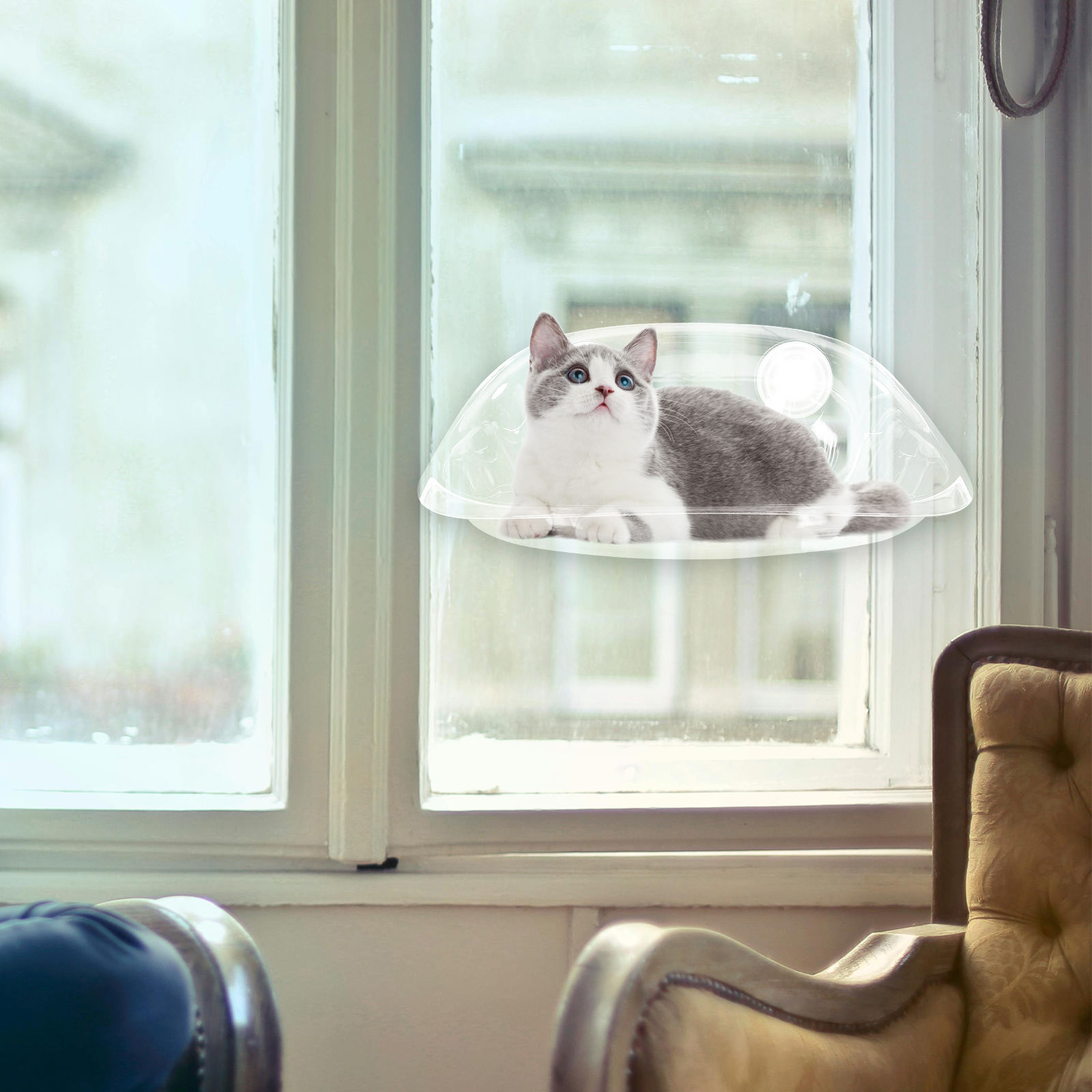 ULTNICE Cat Window Hammock Suction Cup Cat Bed Transparent AS 1Pcs
