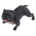 thumbnail image 2 of Paquete de 5 s de vívidas, juego de juguete de modelo de animal de para pequeños para el aprendizaje de la cienc Zulema Figuras de animales de juguete, 2 of 8
