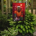 thumbnail image 2 of Briard Holiday Christmas Garden Flag 11.25 in x 15.5 in, 2 of 5