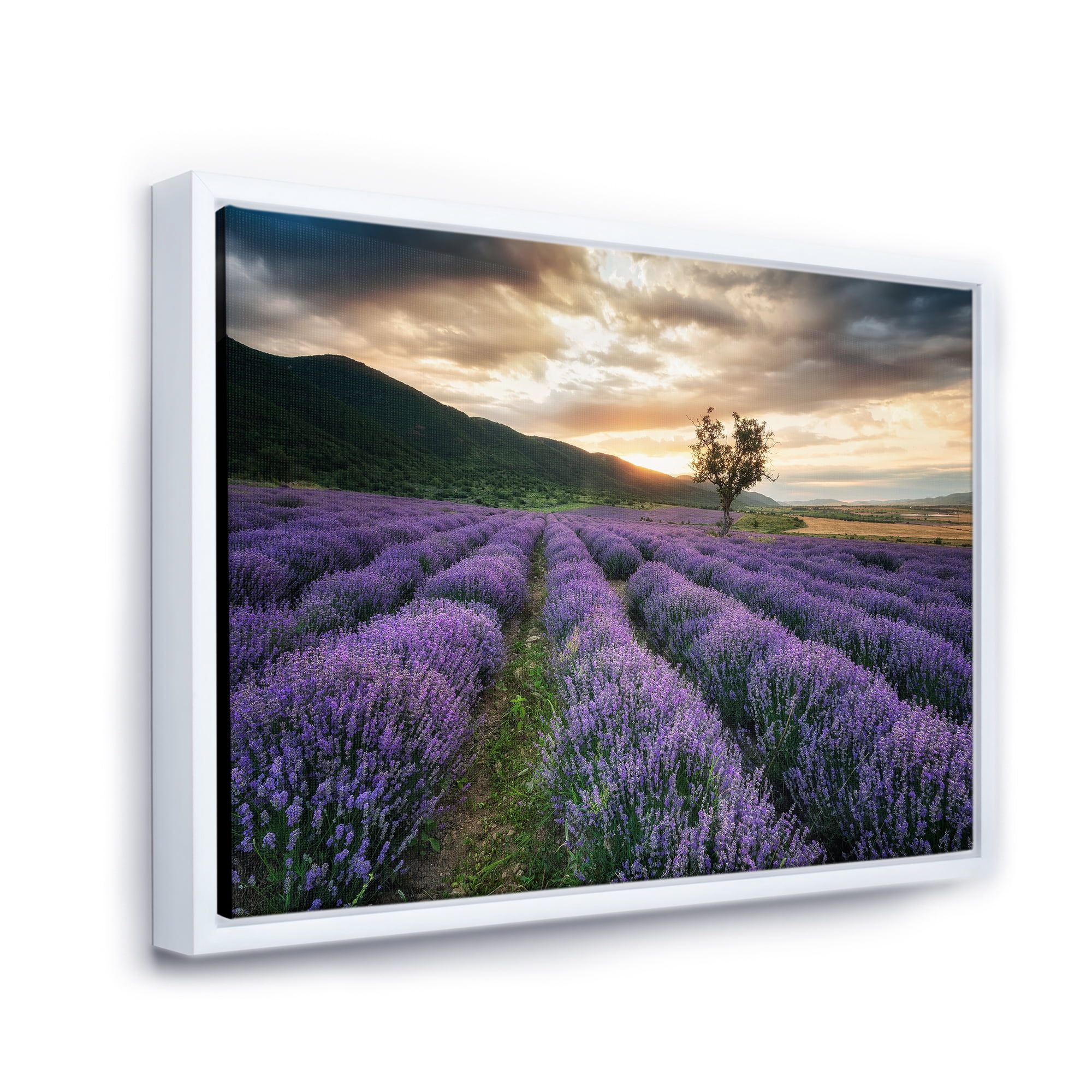 Designart 'Dramatic Clouds and Sunrise Over Lavender Field VII' Farmhouse Framed Canvas Wall Art Print