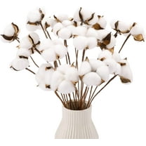 10PCS Artificial Cotton Flowers Antique Cotton Stems Farmhouse Decorations Fake Fall Vase Filler White Dried Cotton Plant Decor for Home Wedding Party Kitchen DIY Floral Arrangement