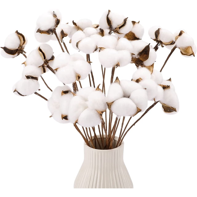 20 piezas de tallos de algodón, flores de algodón falsas, selecciones de algodón secas, plantas de tallos, decoraciones de granja para florero, decoración del hogar