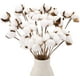 thumbnail image 1 of 20 tallos de algodón, flores de algodón falso, palillos de algodón seco, tallos de plantas, tallos florales de algodón artificial, decoraciones de granja de imitación para jarrón, decoración del hogar JFHHH pequeña, 1 of 5