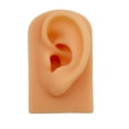 thumbnail image 2 of Accesorios de visualización Baoblaze modelo de oreja de silicona suave para perforación y enseñanza, 2 of 8