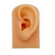 thumbnail image 2 of Modelo de oído Zulema silicona artificial profesional para oficina, 2 of 5