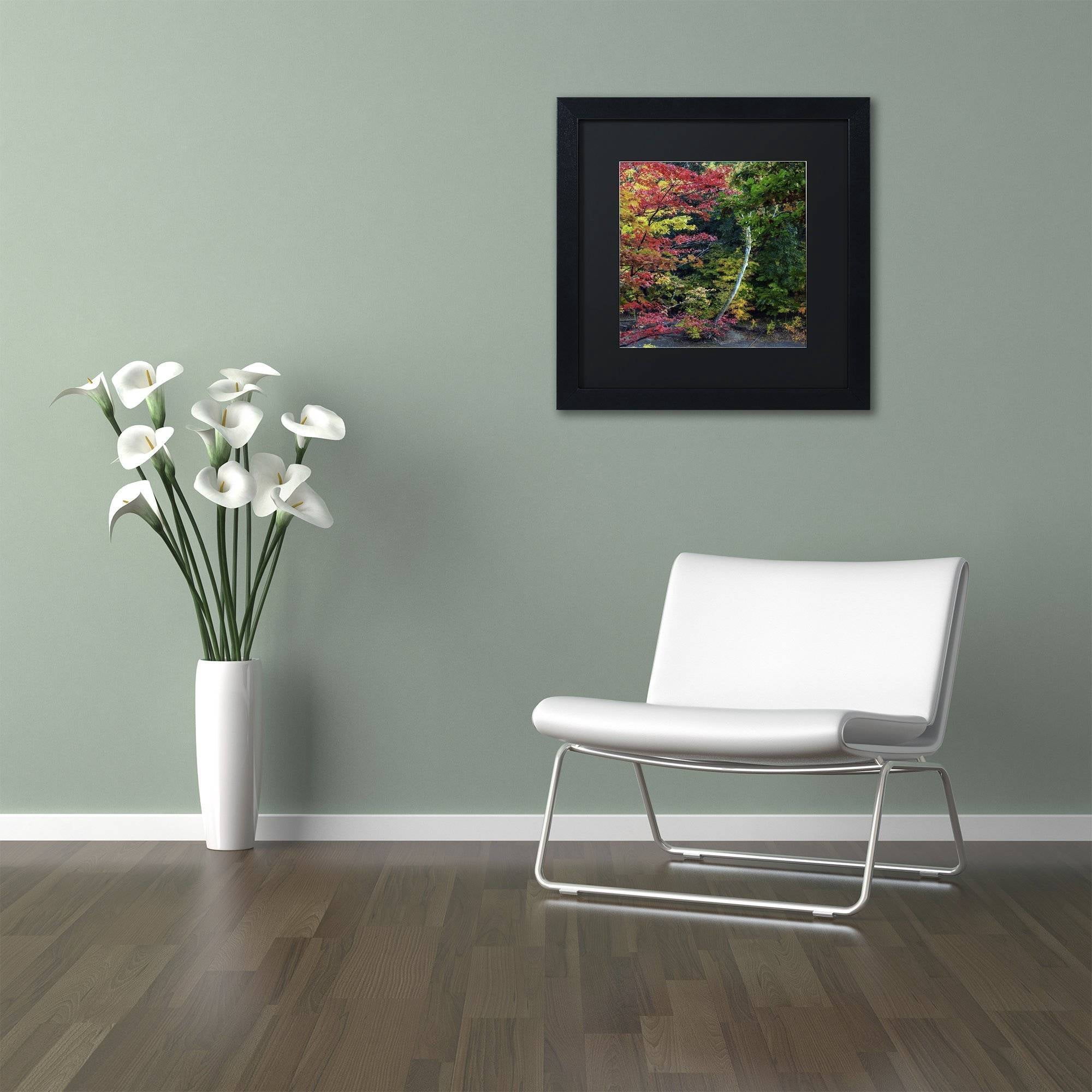 Trademark Fine Art "All the Colors of October in Ohio" Canvas Art by Kurt Shaffer, Black Matte, Black Frame
