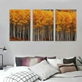 thumbnail image 3 of Nawypu  Birch Trees In Aspen Forest, Colorado Canvas Decorative Painting Poster Home Decor Art HD Pictures Bedroom Living Room Wall Art 12''x16''X3 Panels, 3 of 4