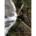 thumbnail image 3 of Agfabric Plant Cover,84"-W x 72"-H In-shape Bag with Zipper and Rope,Insect Barrier, Insect Netting, 3 of 4