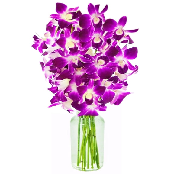 KaBloom : Bouquet of Fresh Purple Orchids with Vase, Next-Day Delivery, Gift for Every Occasion.