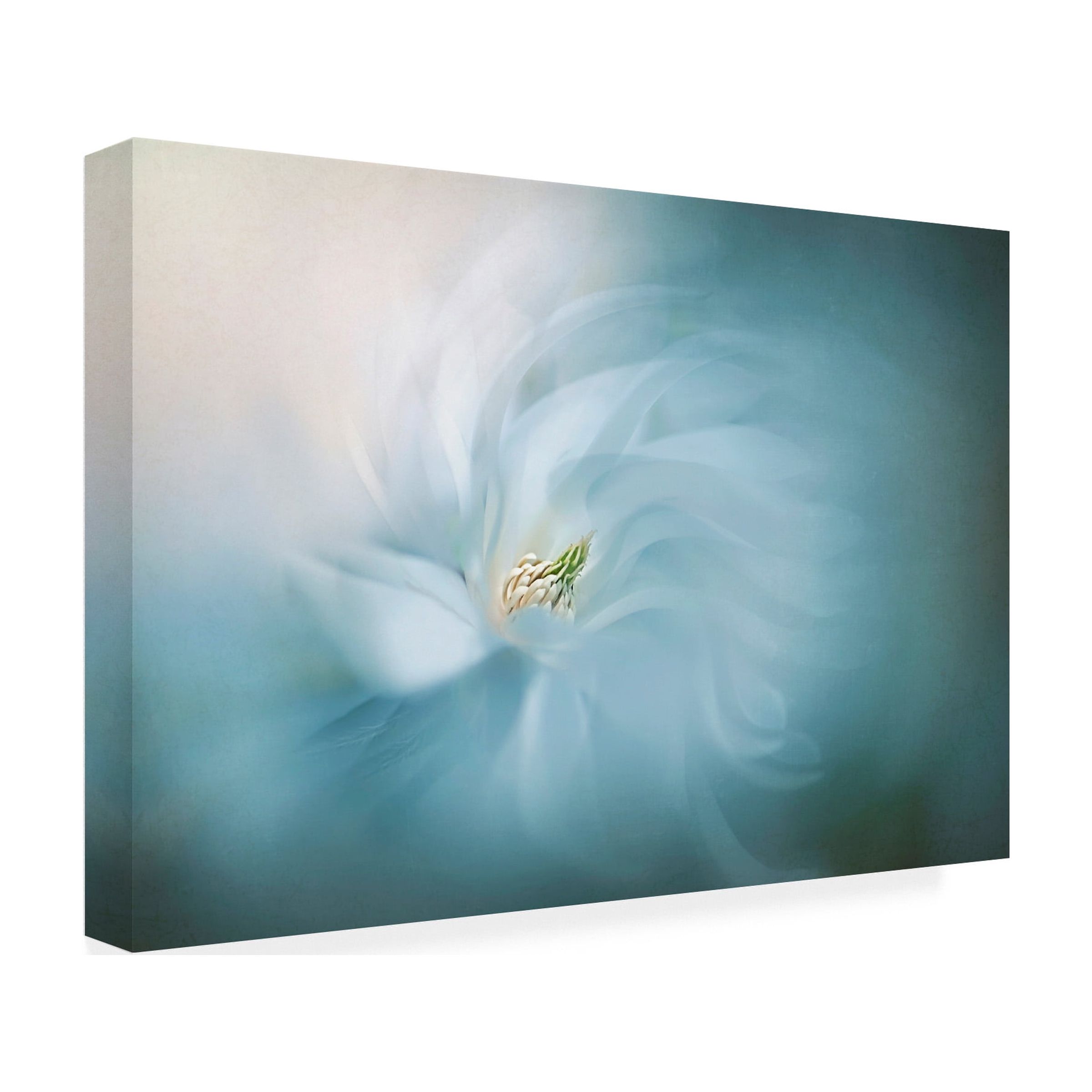 Jacky Parker 'Serene' Canvas Art