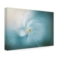 thumbnail image 4 of Jacky Parker 'Serene' Canvas Art, 4 of 4