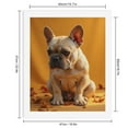 thumbnail image 2 of Paint by Numbers Kit for Adults, Autumn French Bulldog Portrait Paint by Numbers, Easy Paint by Numbers Kit for Adults Beginner, DIY Adult Paint by Number Kits on Canvas, 12x16in Home Decor, 2 of 7