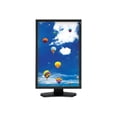 thumbnail image 5 of NEC MultiSync PA242W-BK - LED monitor - 24.1", 5 of 7