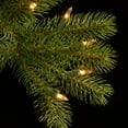 thumbnail image 4 of CC Christmas Decor 12’ Pre-Lit Downswept Douglas Slim Fir Artificial Christmas Tree - Clear Lights, 4 of 4