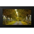 thumbnail image 2 of Goncalves, Adelino 14x10 Black Modern Framed Museum Art Print Titled - Colors of Autumn, 2 of 5
