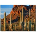 thumbnail image 1 of National Park Ceramic Tile Mural Kitchen Backsplash Bathroom Shower 405650-XL43, 1 of 3