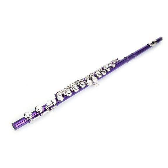 Winado Cupronickel C 16 Closed Holes Concert Band Flute for Student