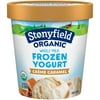 Stonyfield® Organic Whole Milk Crème Caramel Frozen Yogurt 1 pt. Cup