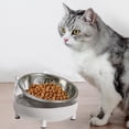 thumbnail image 4 of Station d'Alimentation Surélevée à 15 Degrés avec Support Chat Surélevé Bols Gris, 4 of 8