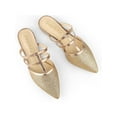 thumbnail image 1 of BLISSFUL STEP Women's Glitter Pointy Toe Flats Mules, 1 of 7