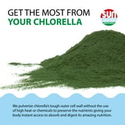 Sun Chlorella Powder Packets Superfood Health Supplement, 30 Ea