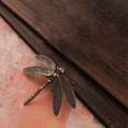 thumbnail image 4 of Mini Brass Dragonfly Casting Animal Figurine Retro Style Metal Sculpture Home Desktop Craft Decoration, 4 of 6