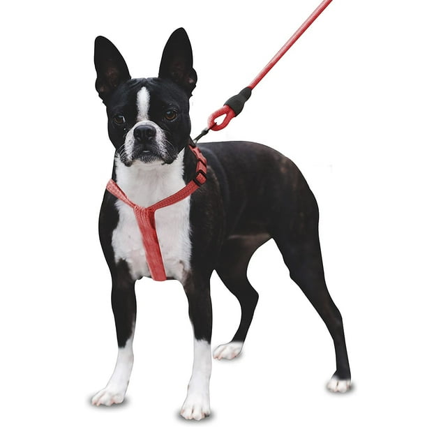 Mascretta Correa y Pechera para Perro Minimalista Mascretta Pechera y Correa para Perro