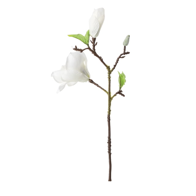 1 pack de Fleurs imitation magnolia à Tige Courte Blanche à 2 Têtes