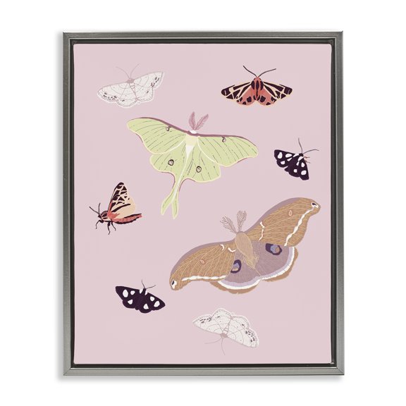 Stupell Industries Bohemian Varied Moth Pattern Gray Floating Frame Canvas Art, 25 x 31, by Sweet Melody Designs