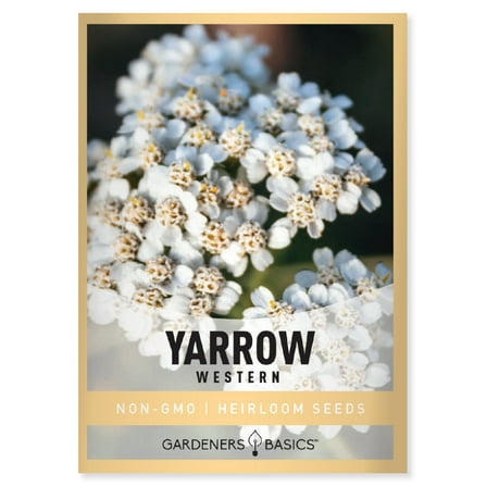 Western Yarrow Seeds