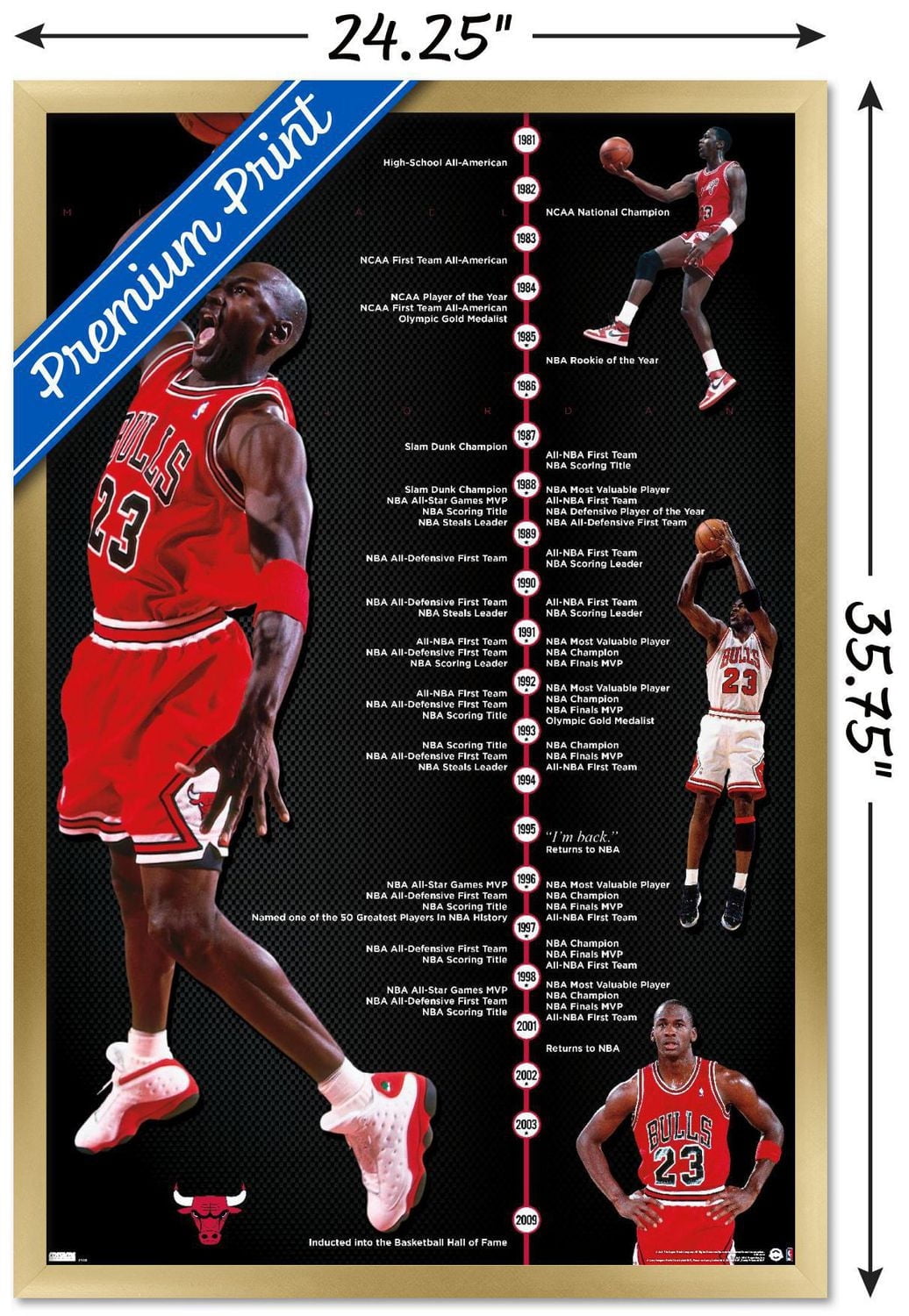 Michael Jordan - Timeline Wall Poster, 22.375" x 34" Framed
