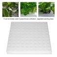 thumbnail image 3 of Hidropónicos Medios de cultivo de semillas Cubos Esponjas 1x0.9"para 1.8" Ollas de malla de red Cest rios Paquete de 100 Esponja hidropónica plantación Spptty jardinería, 3 of 7