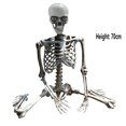 thumbnail image 4 of Halloween Decorations Clearance! 27.6'' Halloween Skeleton, Life Size Skeleton Ghost, Halloween Props, Skeleton Decor for Halloween Party Indoor Outdoor, 4 of 8