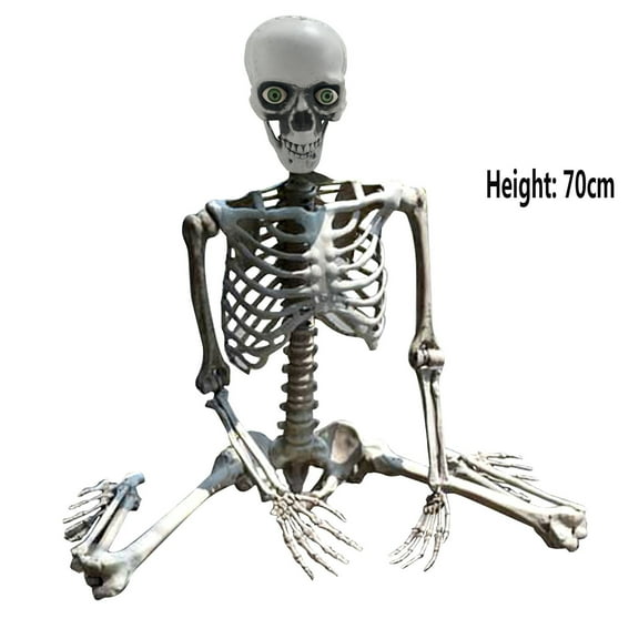 Coollooc 27.6 inch Halloween Skeleton Full Body Life Size Human Bones with Movable Joints for Indoor Outdoor Halloween Props Decorations