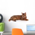 thumbnail image 1 of Bengal Kitten Wall Decal Sticker by Wallmonkeys Vinyl Peel and Stick Graphic (18 in W x 8 in H), 1 of 4