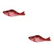 thumbnail image 1 of Bewildely Juguete para gatos, pez, carga eléctrica USB, simulación de baile, salto, pez disquete en movimiento, juguete para gatos, peces electrónicos Type2 NO2 Bewildely CBP114238, 1 of 5