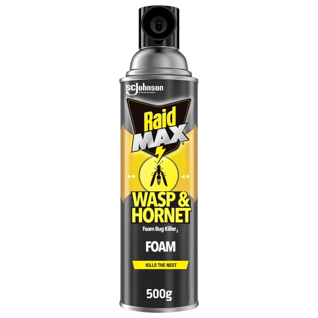 Raid Max Wasp and Hornet Insect Killer Spray, Kills Bugs on Contact, 500g