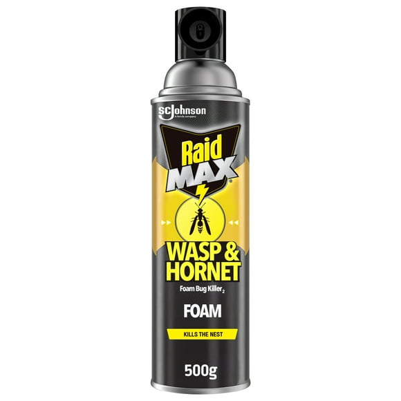 Raid Max Wasp and Hornet Insect Killer Spray, Kills Bugs on Contact, For Outdoor Use, 500g, 500g