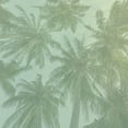 thumbnail image 2 of Lewis, Sheldon 26x26 White Modern Wood Framed Museum Art Print Titled - Palm Grove 2, 2 of 4