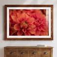 thumbnail image 7 of Spring Fire-Premium Framed Print - Ready to Hang, 7 of 7