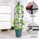 thumbnail image 2 of Xiao Hua Soporte metálico para plantas trepadoras de jardín de cuatro pisos, para exteriores, ideal para plantas trepadoras, plantas en macetas y jardinería (blanco, estilo ardilla)., 2 of 5