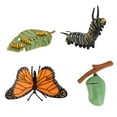 thumbnail image 1 of Fridja 4 Piece Insect Figure Butterfly Life Cycle Plastic Brood To Mature Period, 1 of 6