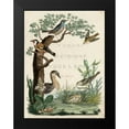 thumbnail image 2 of Nozeman 12x14 Black Modern Framed Museum Art Print Titled - Duck Sanctuary, 2 of 5