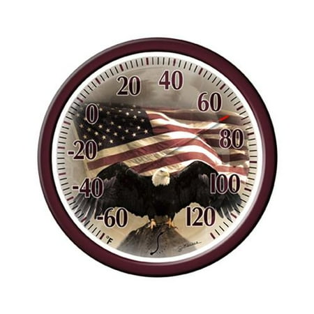 13 Inch Galileo Thermometer - Taylor Precision Products 6773 13-Inch Bald Eagle Outdoor Thermometer