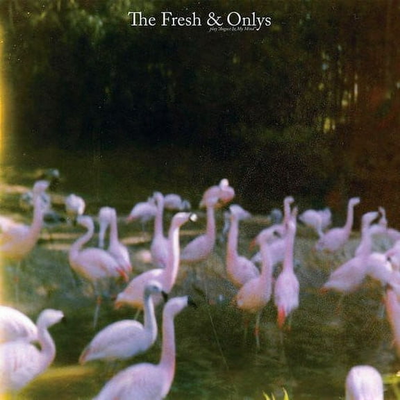 The Fresh & Onlys - August in My Mind - Music & Performance - Vinyl