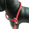 thumbnail image 4 of AMERTEER 0.6/0.8/1cm Pet Dog Nylon Traction Rope Leash Adjustable Walking Lead Strap, 4 of 10