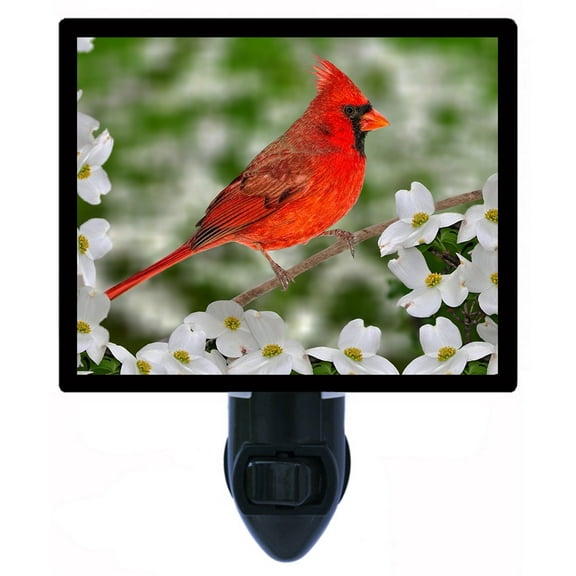 Night Light - Male Northern Cardinal. | Red Bird Theme, Includes Free Switchable Insert, 4W Bulb, E12 Base
