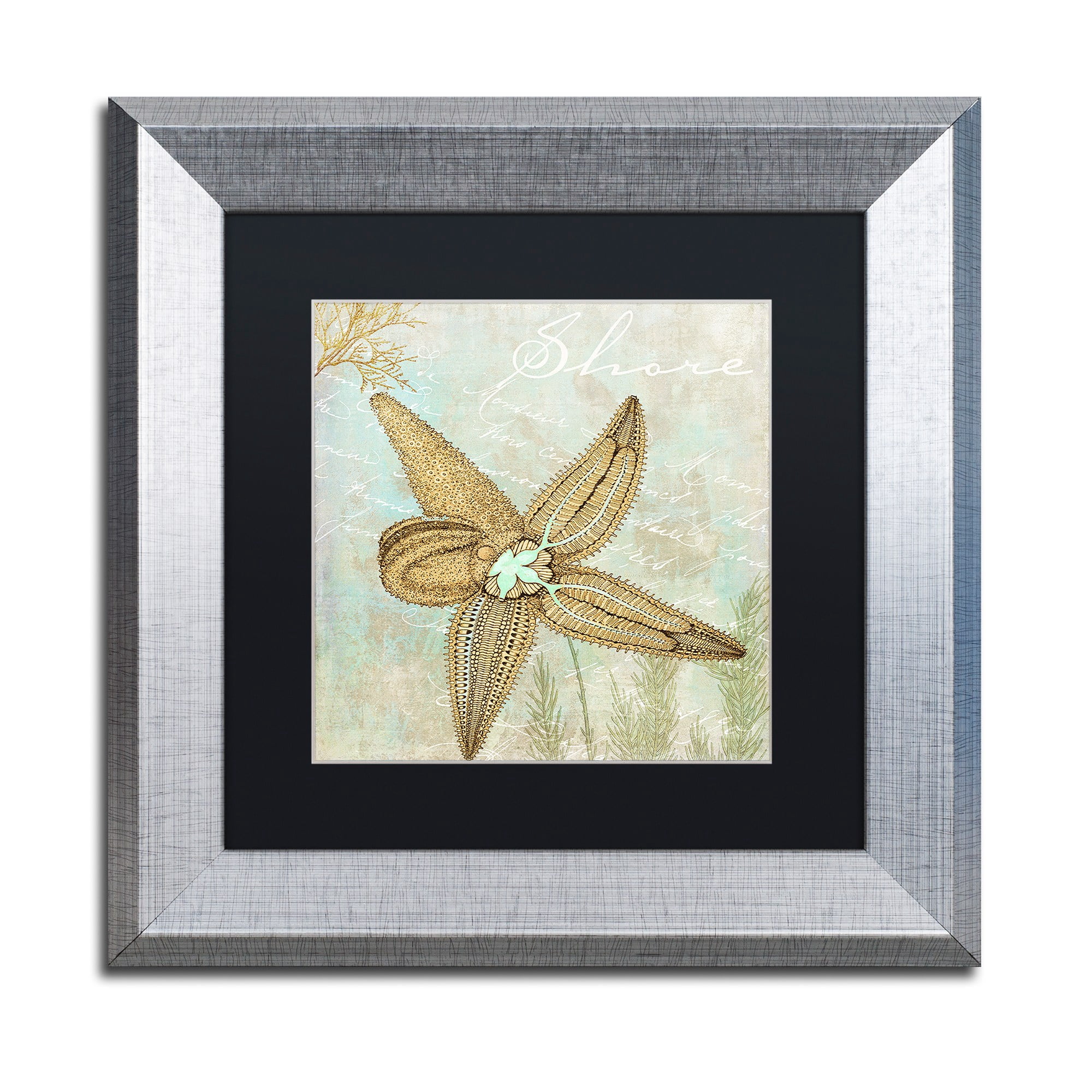 Trademark Fine Art "Turquoise Beach V" Canvas Art by Color Bakery Black Matte, Silver Frame
